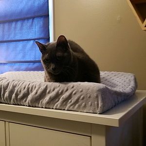 Meet your Posher, Jodi